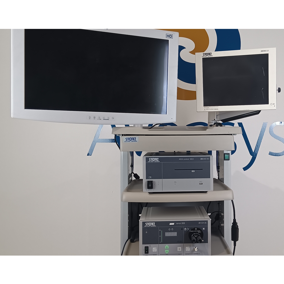 Karl Storz BioImage Video Monitor 20090331