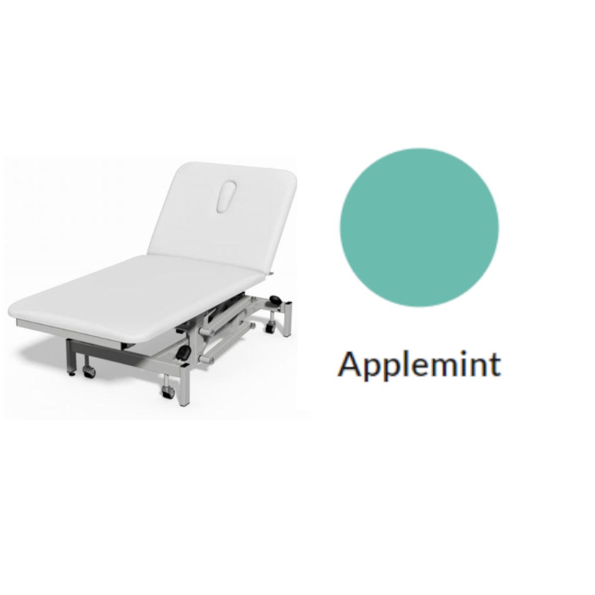 Plinth Medical 50E 2 Section Bariatric Electric Couch