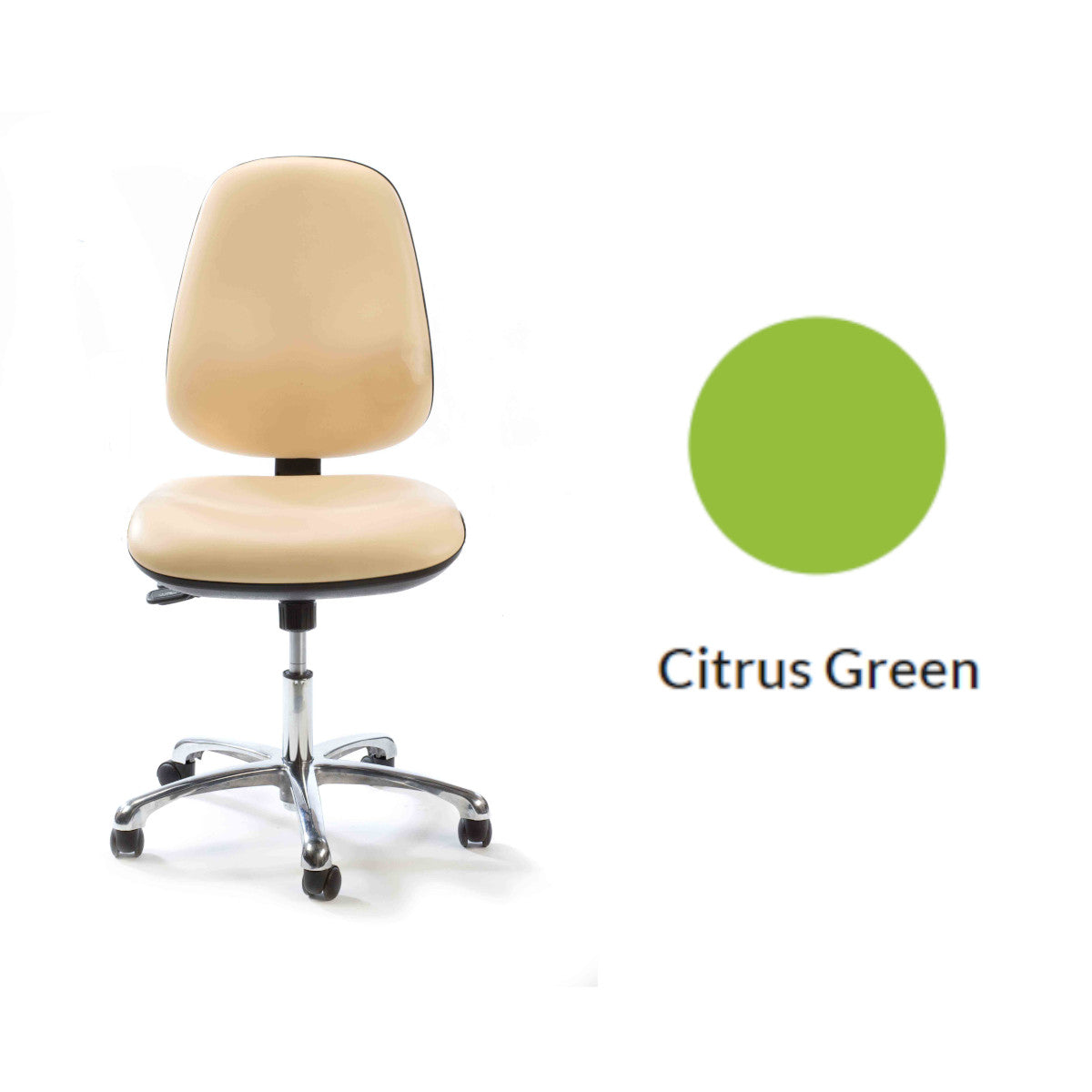 Plinth Medical Deluxe Operator's Chair