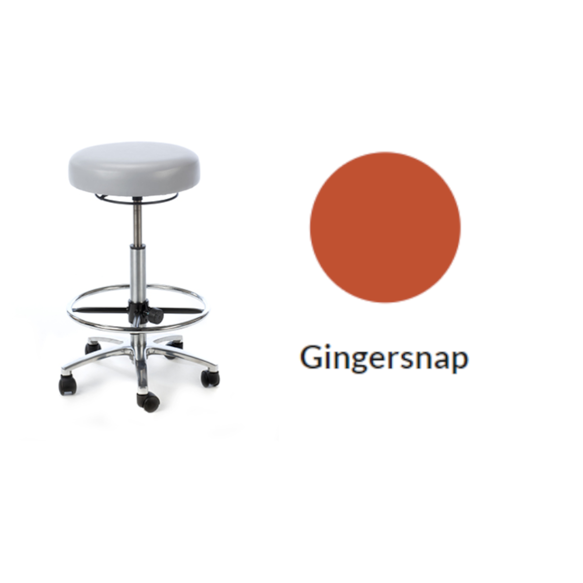 Plinth Medical Deluxe Medical Stool