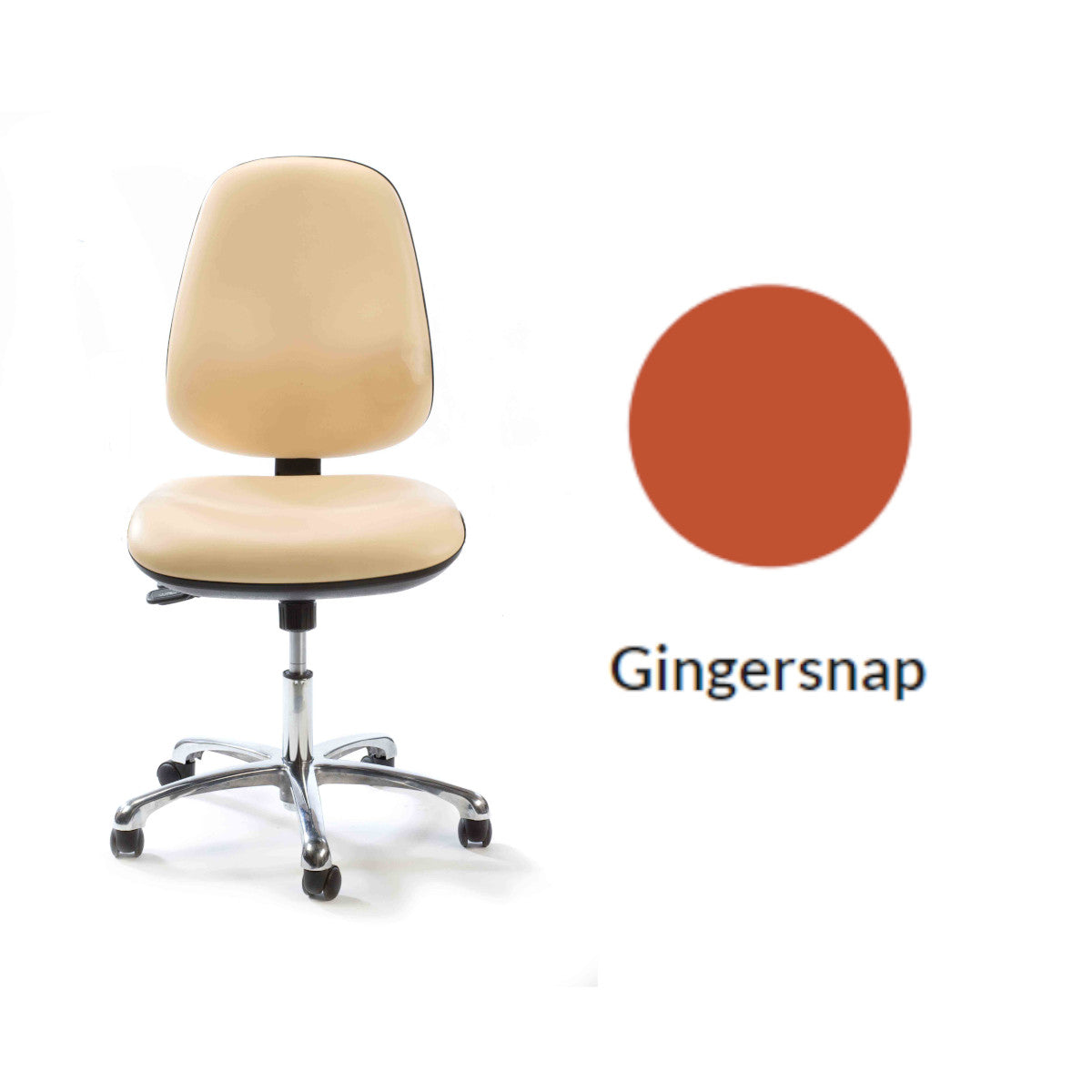 Plinth Medical Deluxe Operator's Chair