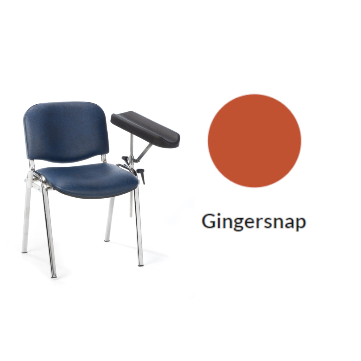 Plinth Medical Fixed Height Phlebotomy Chair