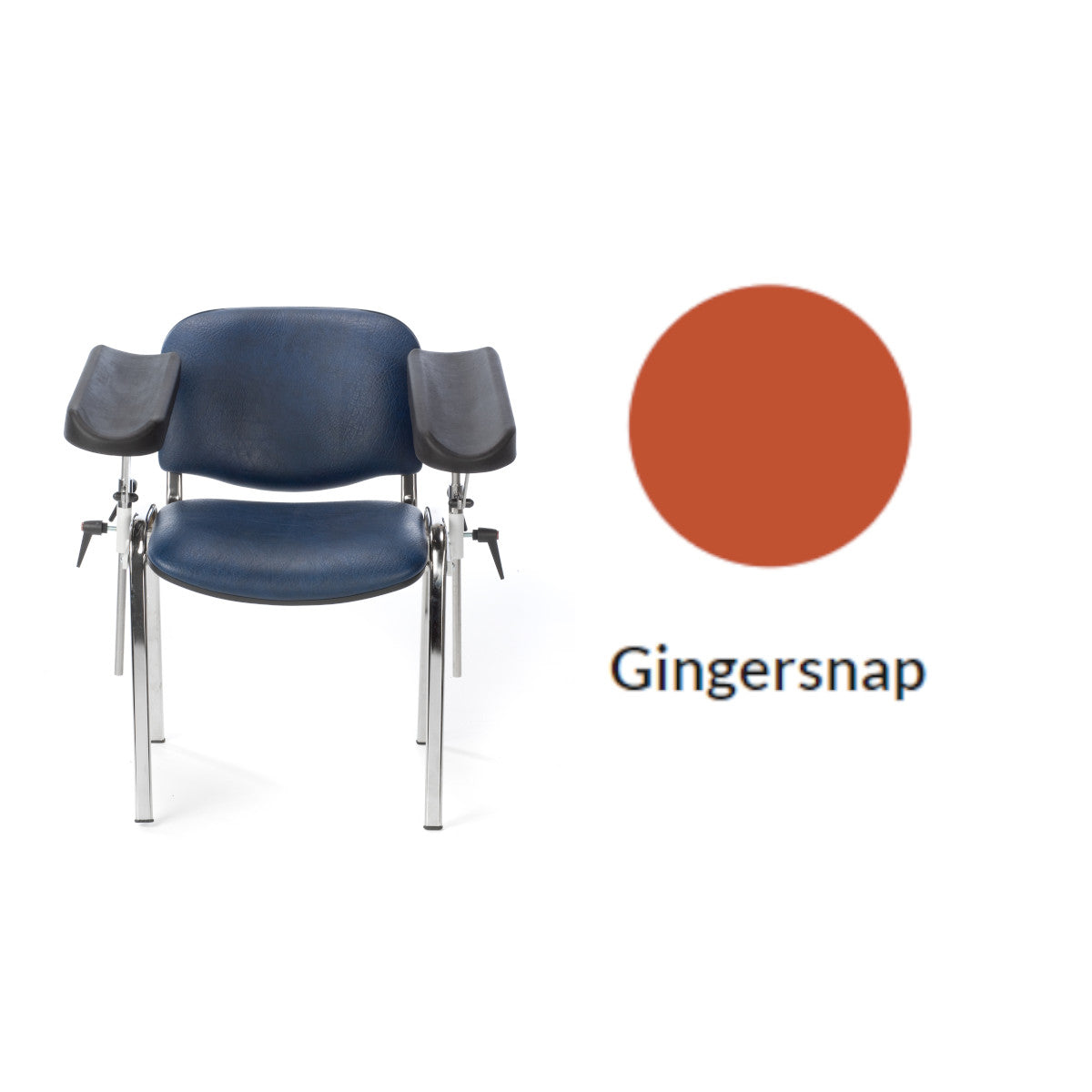 Plinth Medical Fixed Height Phlebotomy Chair