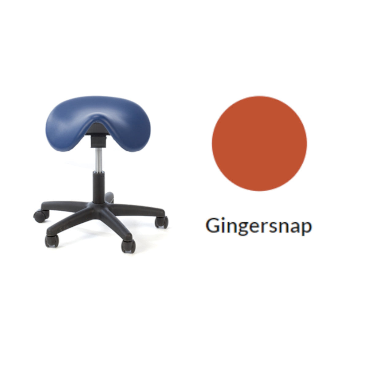 Plinth Medical Saddle Stools