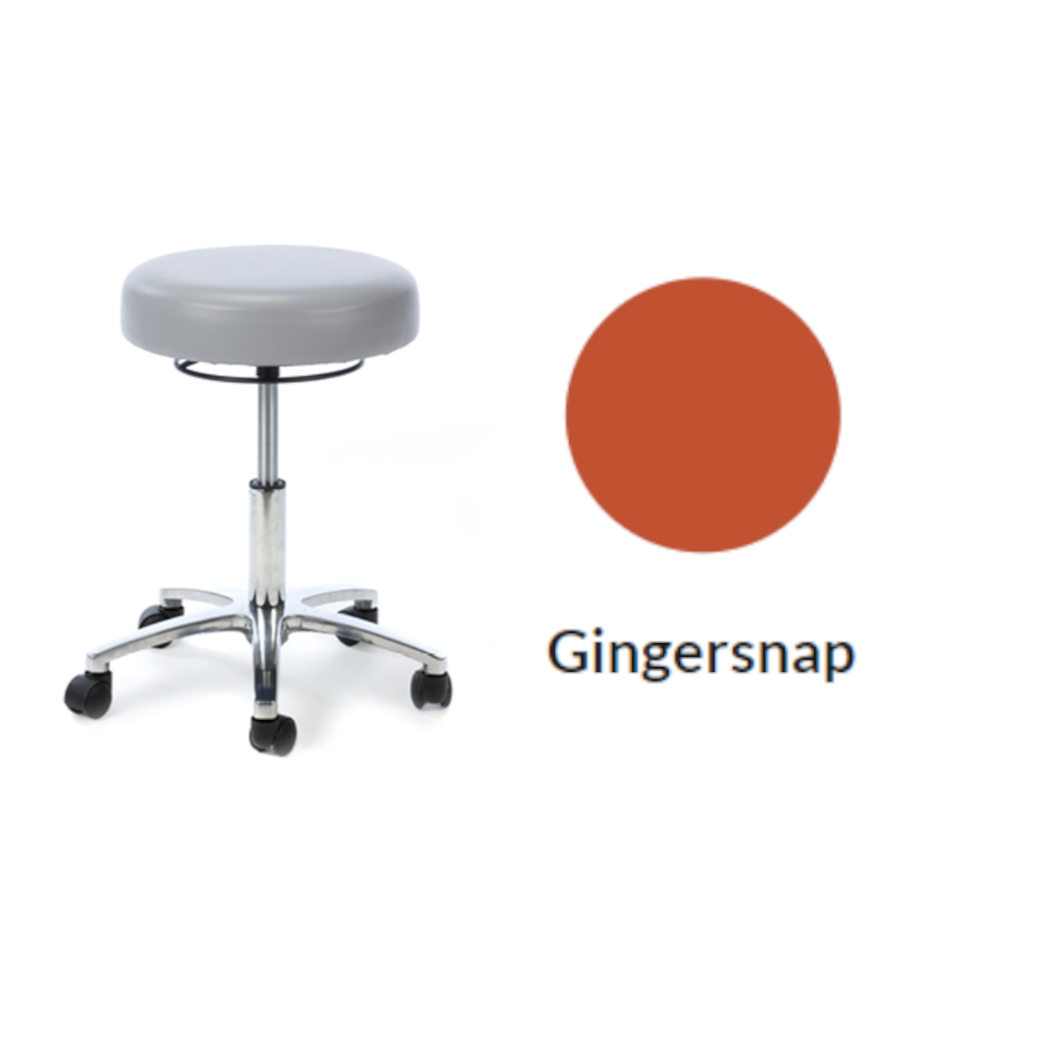 Plinth Medical Deluxe Medical Stool
