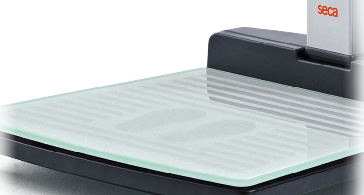 Seca 287 Ultrasonic Measuring Station