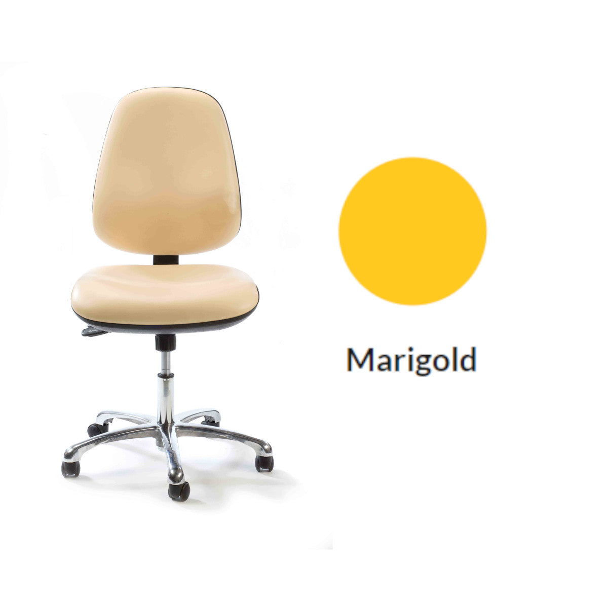 Plinth Medical Deluxe Operator's Chair