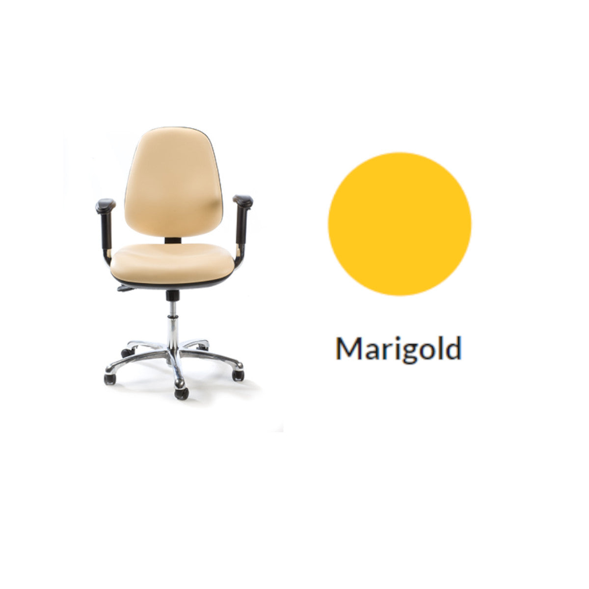 Plinth Medical Deluxe Operator's Chair