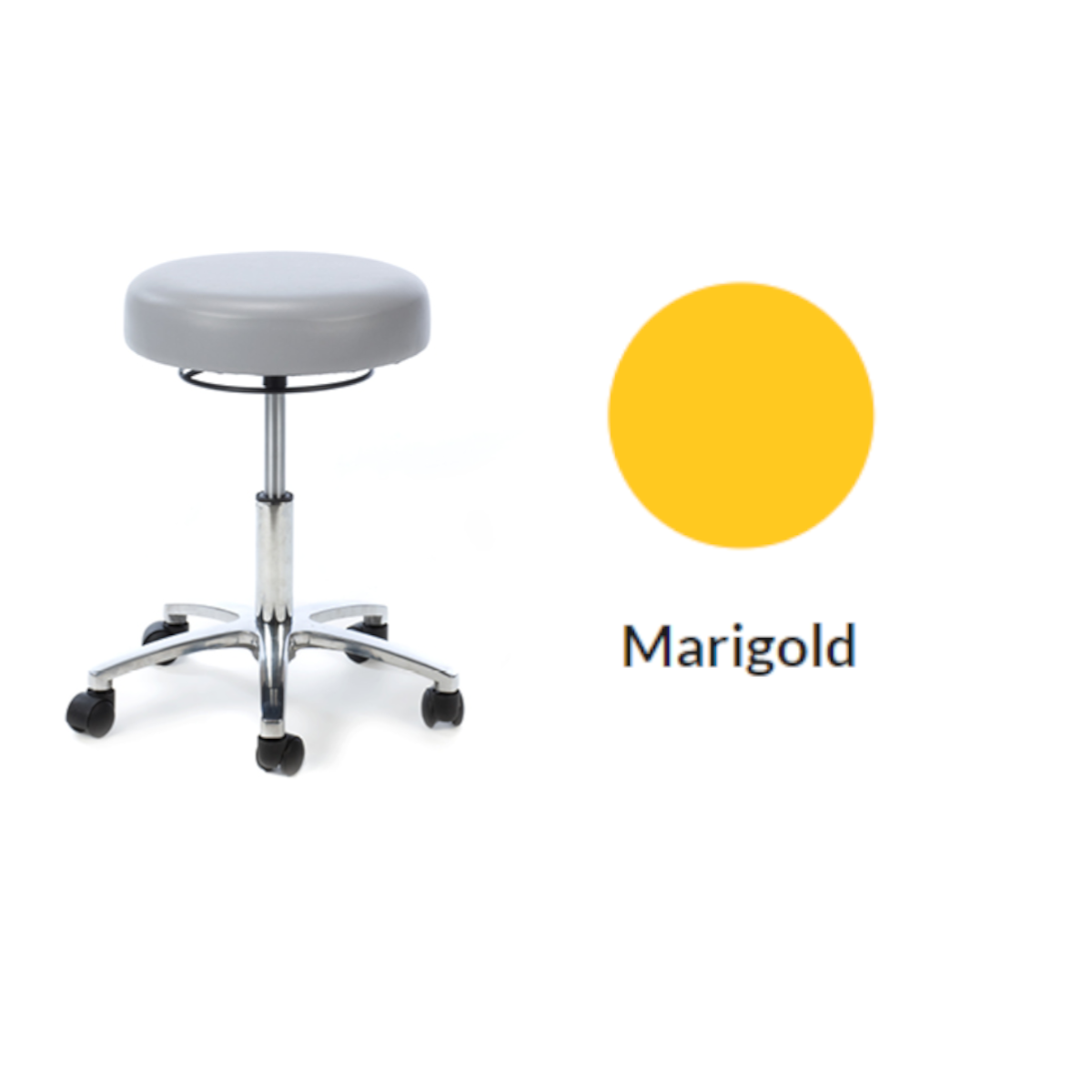 Plinth Medical Deluxe Medical Stool