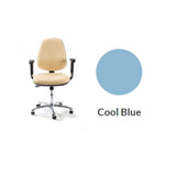 Plinth Medical Deluxe Operator's Chair