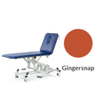 Plinth Medical 512 2 Section Manipulation Couch