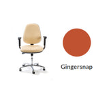Plinth Medical Deluxe Operator's Chair
