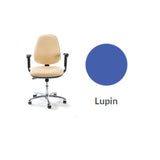 Plinth Medical Deluxe Operator's Chair