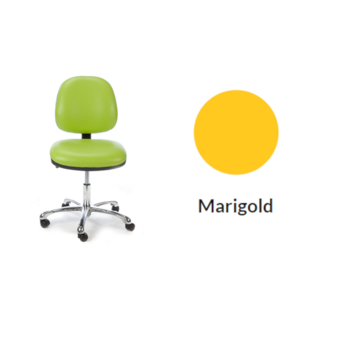 Plinth Medical Classic Operator's Chair